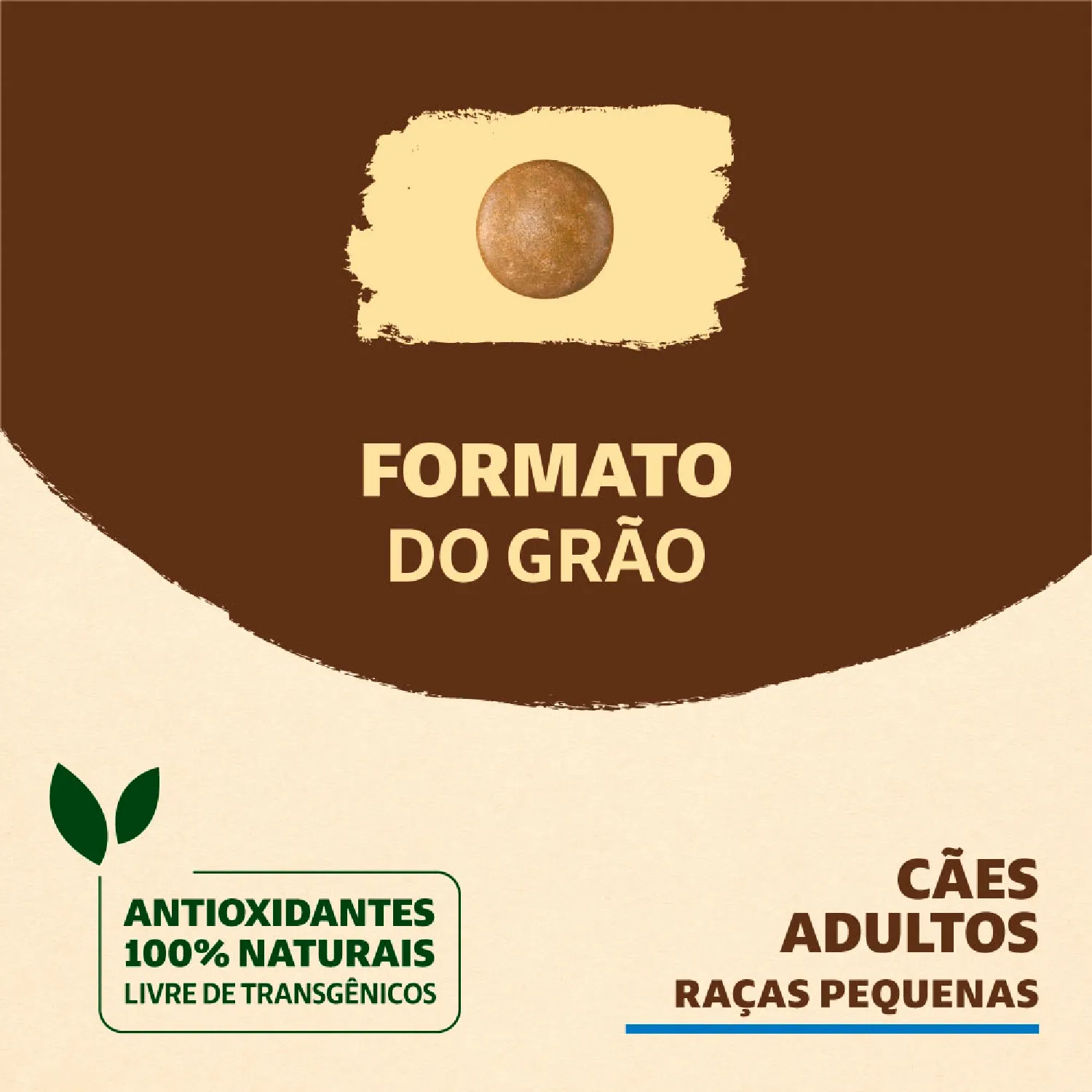 Racao Quatree Supreme Caes Adultos Racas Pequenas graos da racao-07
